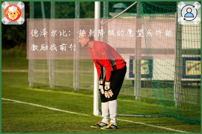 德泽尔比：热刺降级的愿望或许能激励我前行