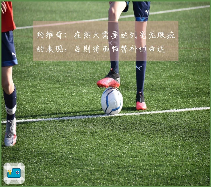 约维奇：在热火需要达到毫无瑕疵的表现，否则将面临替补的命运