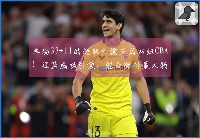 单场33+11的超级外援正式回归CBA！辽篮成功引援，能否弥补最大弱点