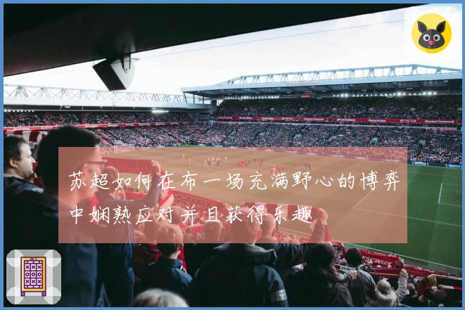 苏超如何在布一场充满野心的博弈中娴熟应对并且获得乐趣