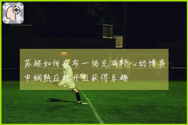 苏超如何在布一场充满野心的博弈中娴熟应对并且获得乐趣